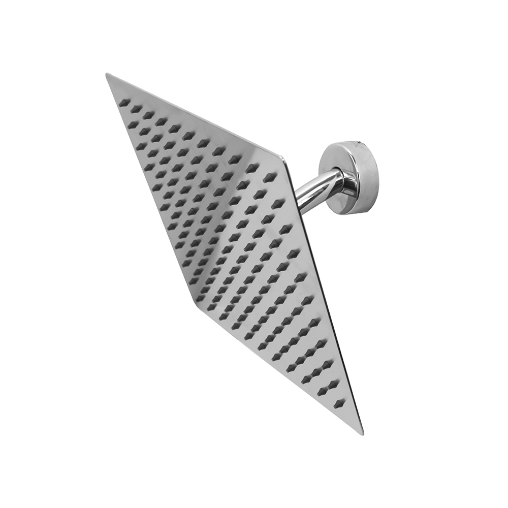 Shower Head & Hand Shower|PREMIER Shower (Stainless Steel Polish)